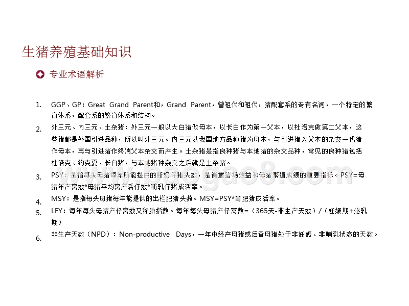 2018-2019年生猪产业链研究报告.pptx_第3页