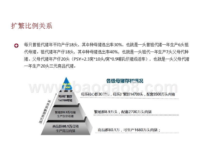 2018-2019年生猪产业链研究报告.pptx_第5页