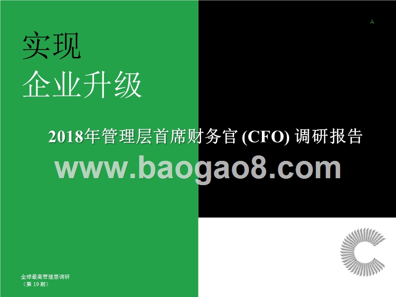 2018年管理层首席财务官(CFO)调研报告.pptx_第1页