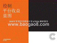 2018年管理层首席执行官(CEO)调研报告.pptx