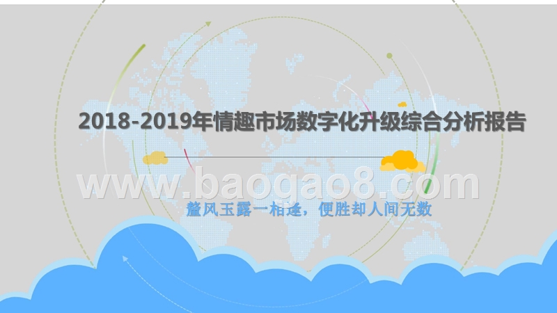 2018-2019年情趣市场数字化升级综合分析报告.pptx_第1页