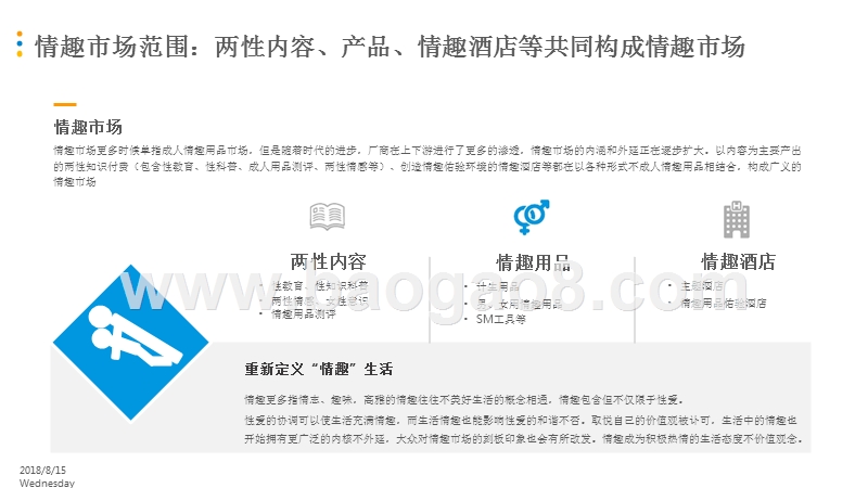 2018-2019年情趣市场数字化升级综合分析报告.pptx_第4页
