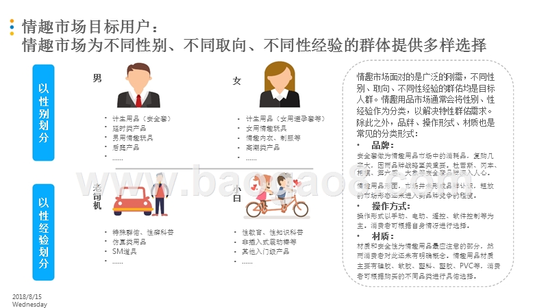 2018-2019年情趣市场数字化升级综合分析报告.pptx_第5页
