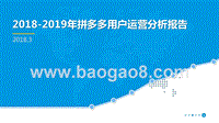 2018-2019年拼多多用户运营分析报告.pptx