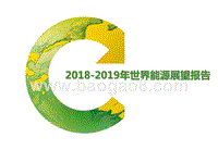2018-2019年世界能源展望报告.pptx