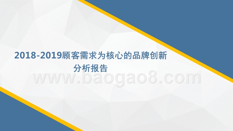 2018-2019顾客需求为核心的品牌创新分析报告.pptx_第1页