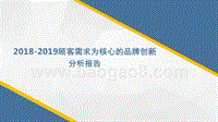 2018-2019顾客需求为核心的品牌创新分析报告.pptx