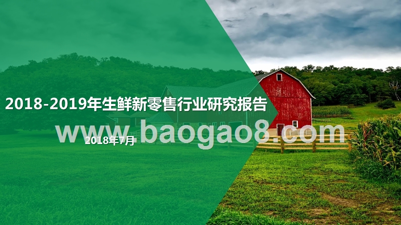 2018-2019年生鲜新零售行业研究报告.pptx_第1页