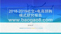 2018-2019社交+电商拼购模式研究报告.pptx