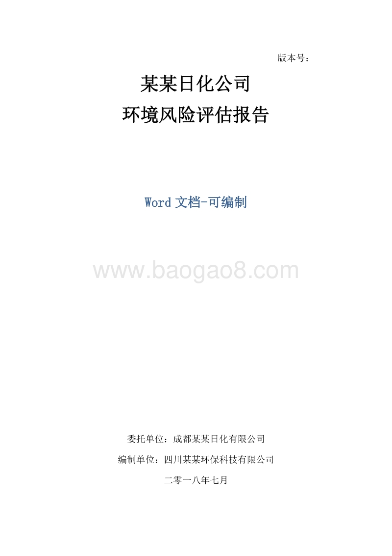 某某日化公司环境风险评估报告.docx_第1页