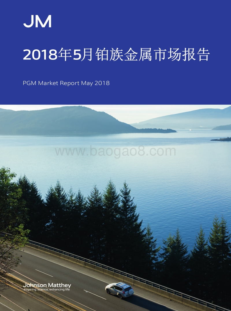 2018年5月铂族金属市场报告.pdf_第1页