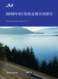 2018年5月铂族金属市场报告.pdf