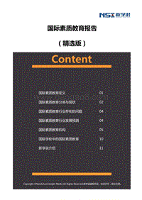 国际素质教育报告（精选版）.pdf