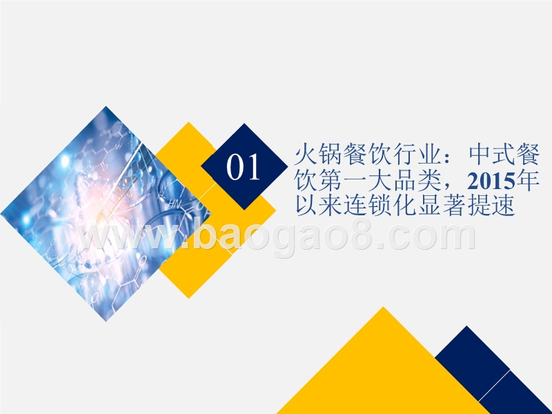 2018-2019火锅行业龙头海底捞案例分析报告.pptx_第3页