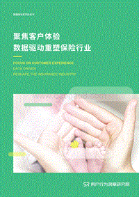 聚焦客户体验，数据驱动重塑保险业.pdf
