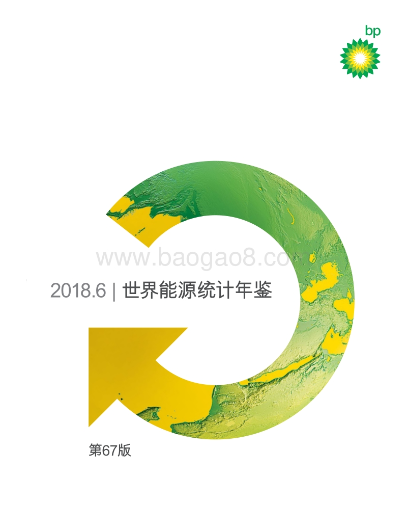 2018世界能源统计年鉴.pdf_第1页
