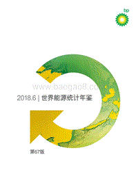 2018世界能源统计年鉴.pdf