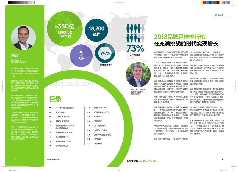 全球消费者选择最多的品牌排行榜.pdf_第2页