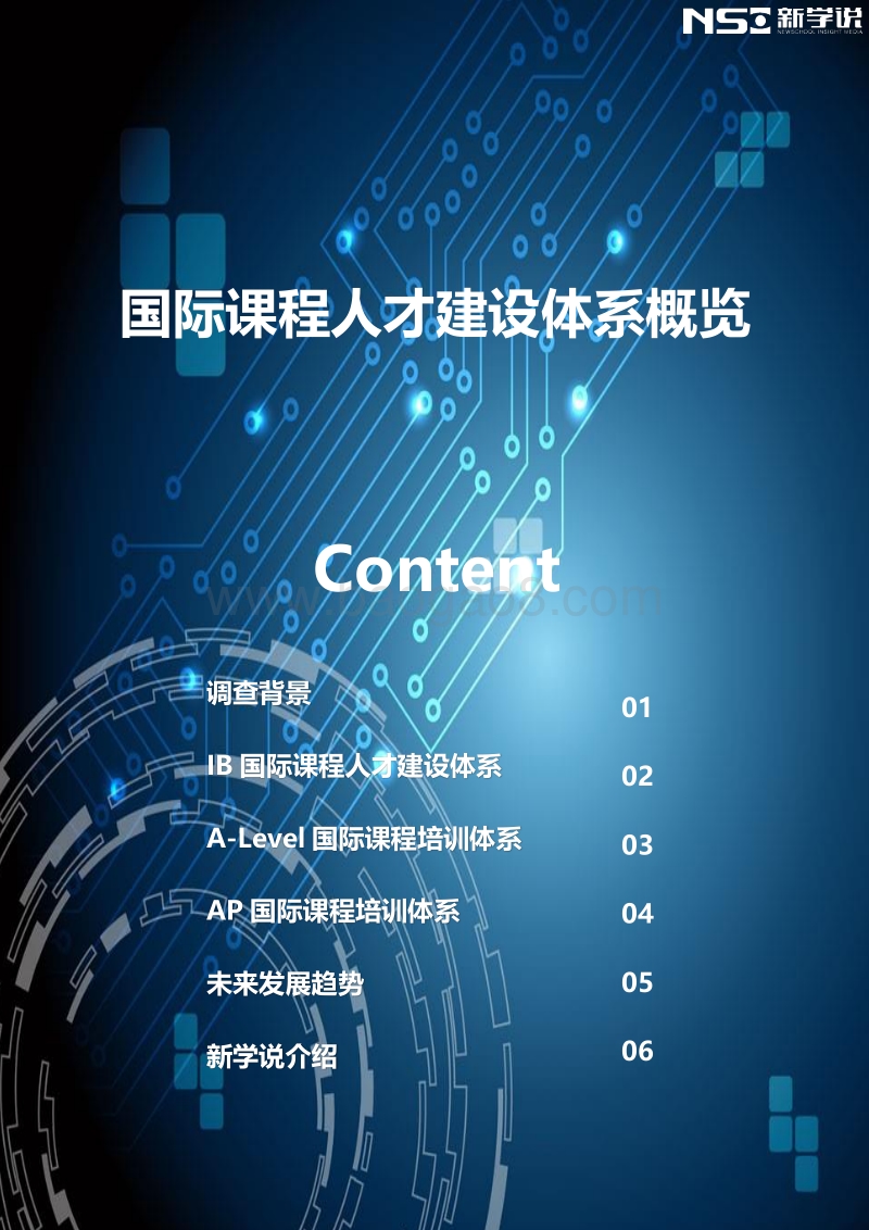 国际课程人才建设体系概览.pdf_第1页