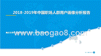 2018-2019年中国职场人群用户画像分析报告.pptx