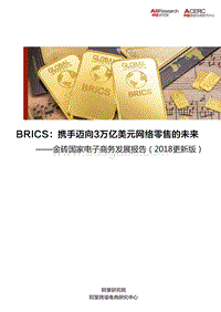 2018金砖国家电子商务发展报告.pdf