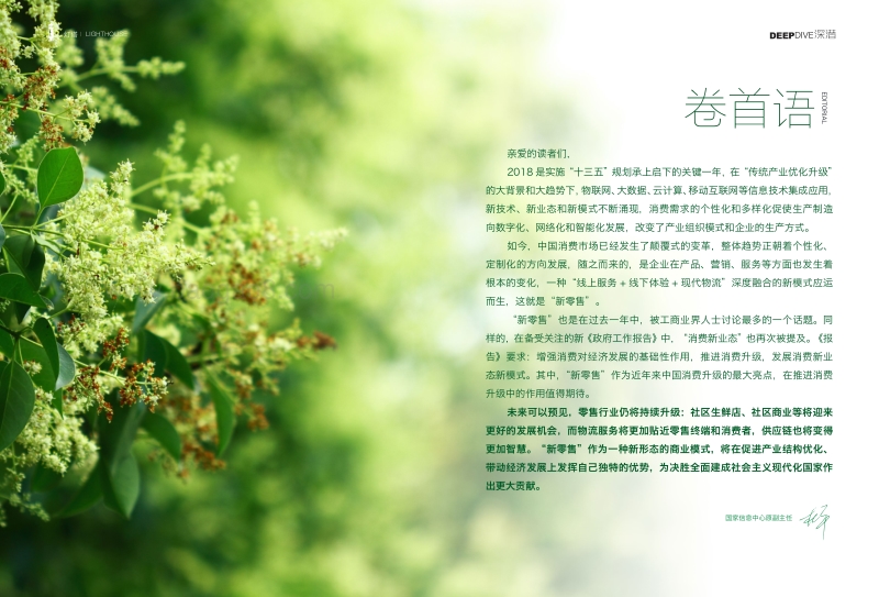 深潜第2期：风口上的新零售，探悉行业现状与未来.pdf_第2页