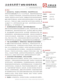 去全球化背景下WTO面临新挑战.pdf