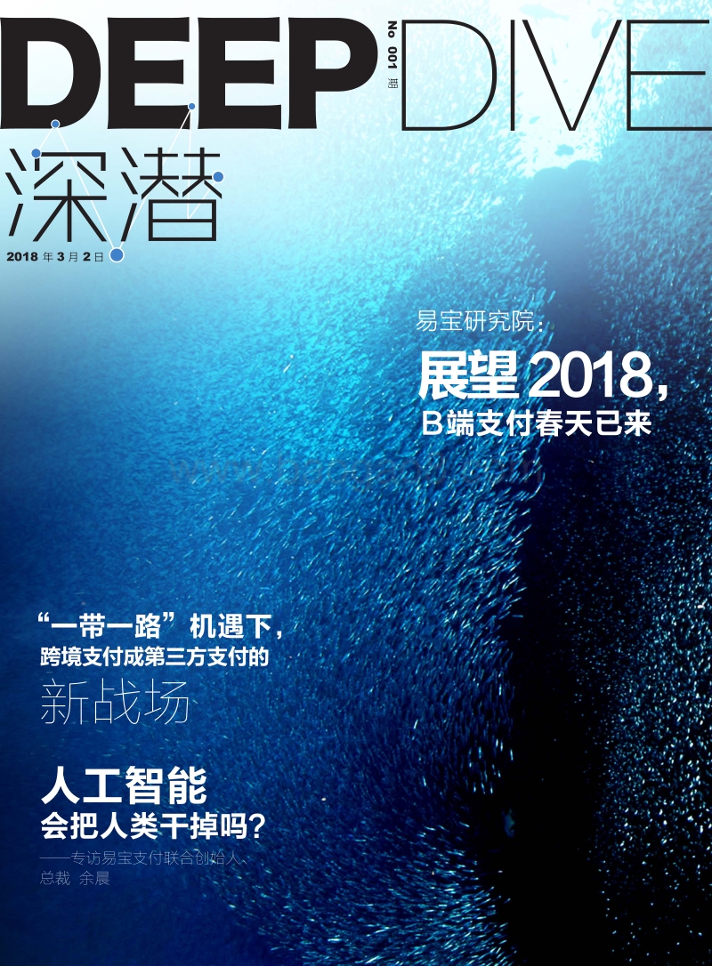 深潜第1期：展望2018，B端支付春天已来.pdf_第1页