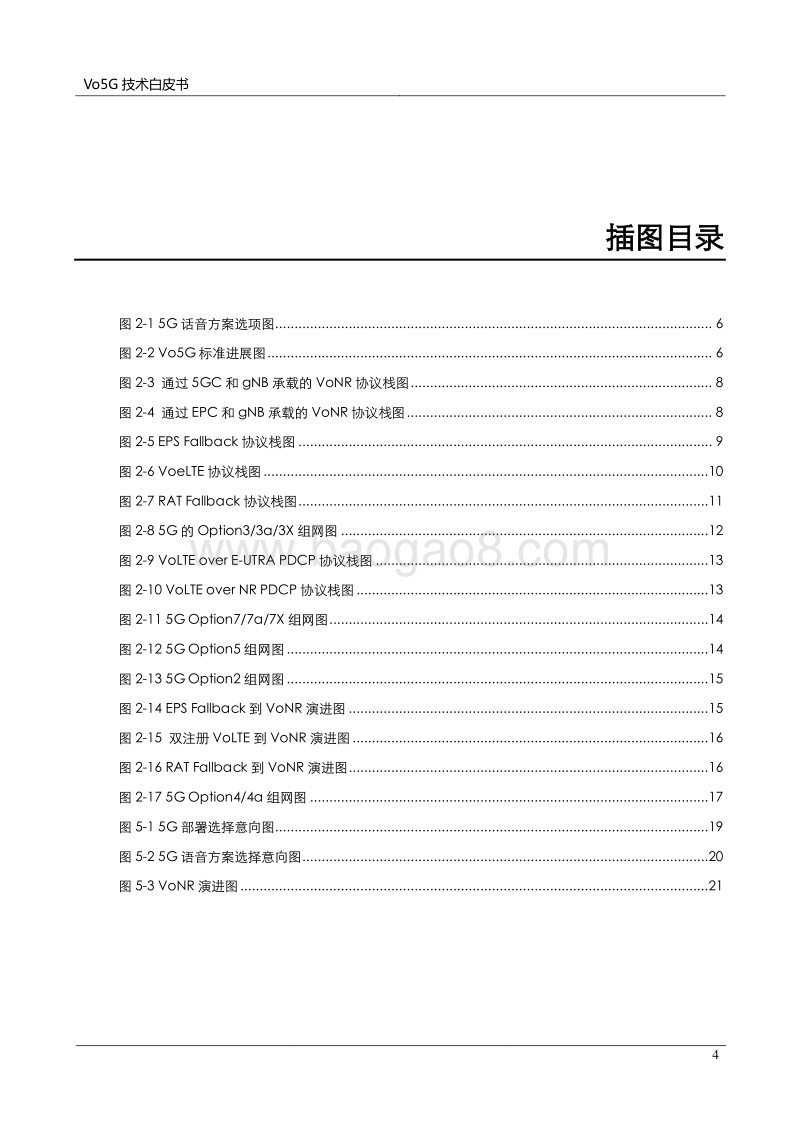 Vo5G技术白皮书.pdf_第5页