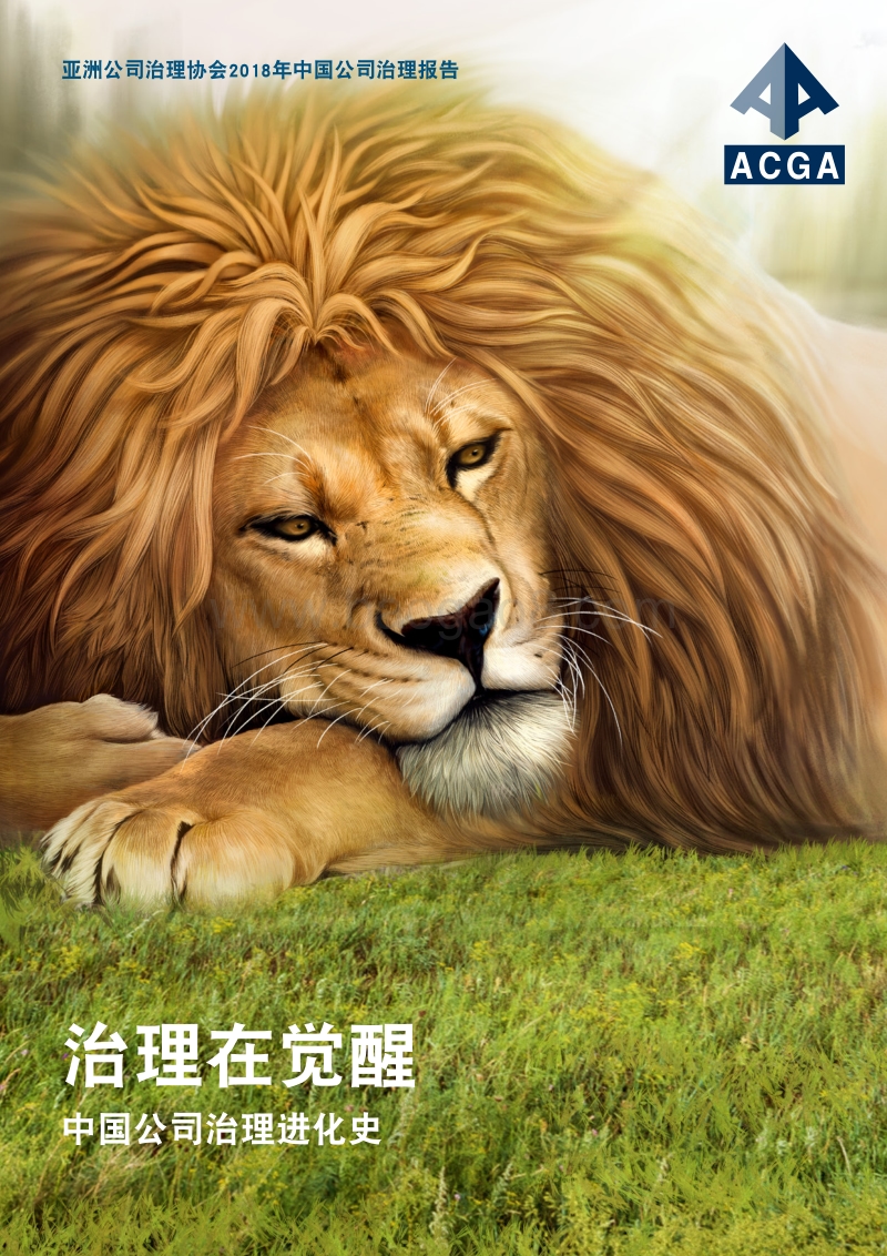 2018中国公司治理报告.pdf_第1页