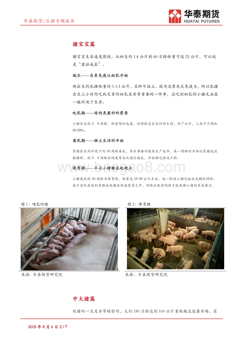 生猪专题报告：肉猪的一生.pdf_第2页