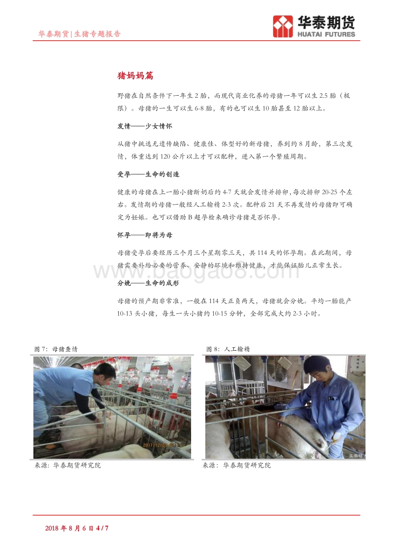 生猪专题报告：肉猪的一生.pdf_第4页