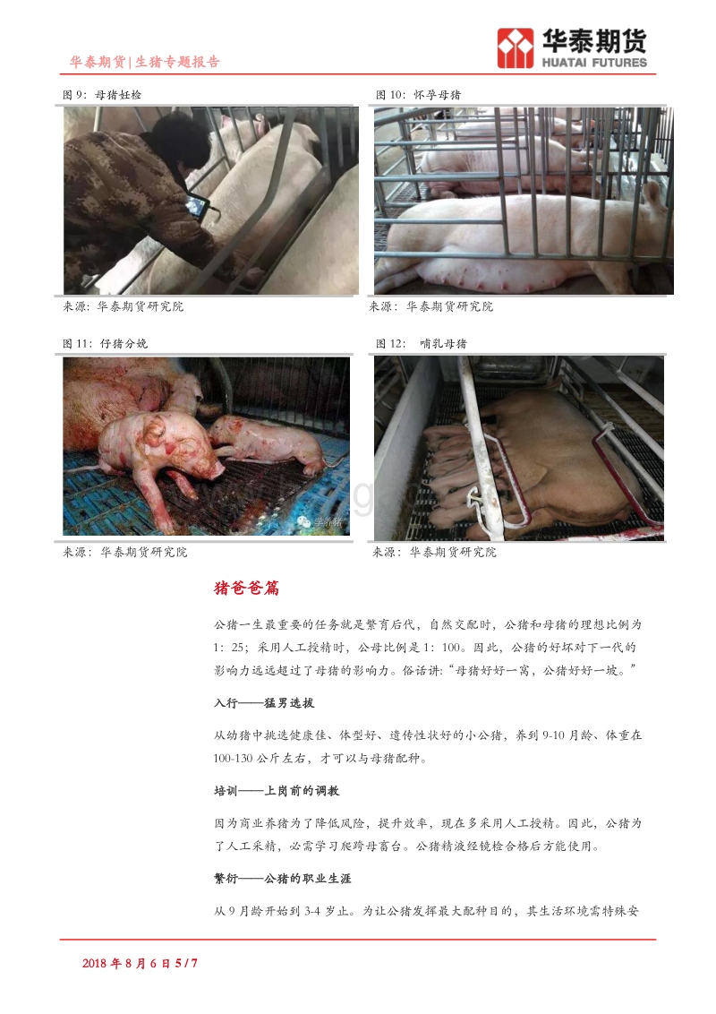 生猪专题报告：肉猪的一生.pdf_第5页