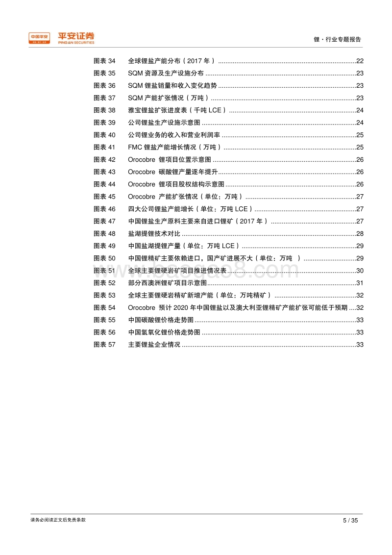 能源金属专题报告之锂篇：资源瓶颈短期缓解，多维竞争阶段来临.pdf_第5页