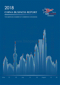 2018年中国商业报告.pdf
