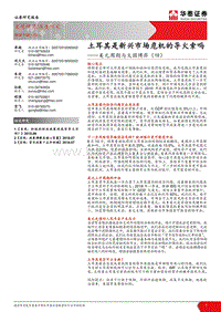 美元周期与大国博弈（四）：土耳其是新兴市场危机的导火索吗.pdf