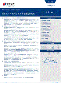 其他稀有小金属行业深度研究报告：供需缺口料将扩大，钒价格有望高位突破.pdf