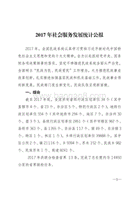 2017年社会服务发展统计公报.pdf