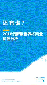2018俄罗斯世界杯商业价值分析.pdf