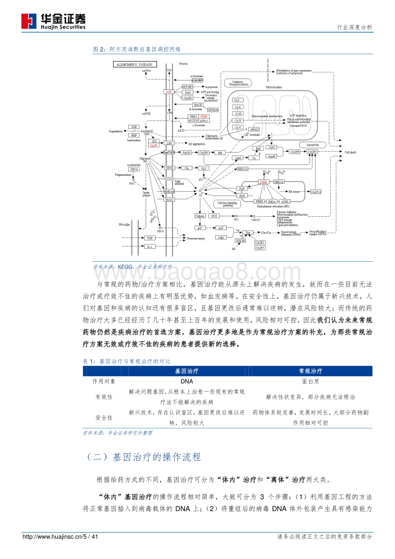 基因治疗：医学革命正在到来（上篇·技术）.pdf_第5页