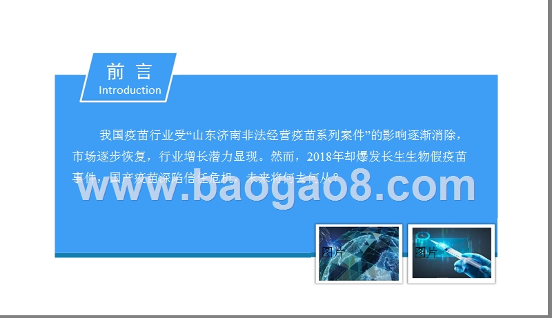 2018中国疫苗行业市场前景研究报告.ppt_第2页
