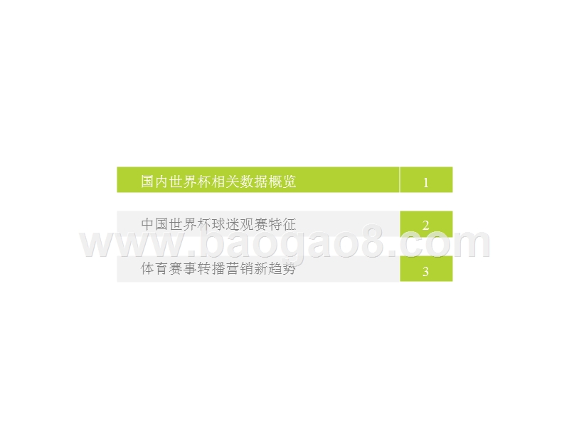 2018年中国世界杯球迷观赛数据解读报告.pptx_第3页