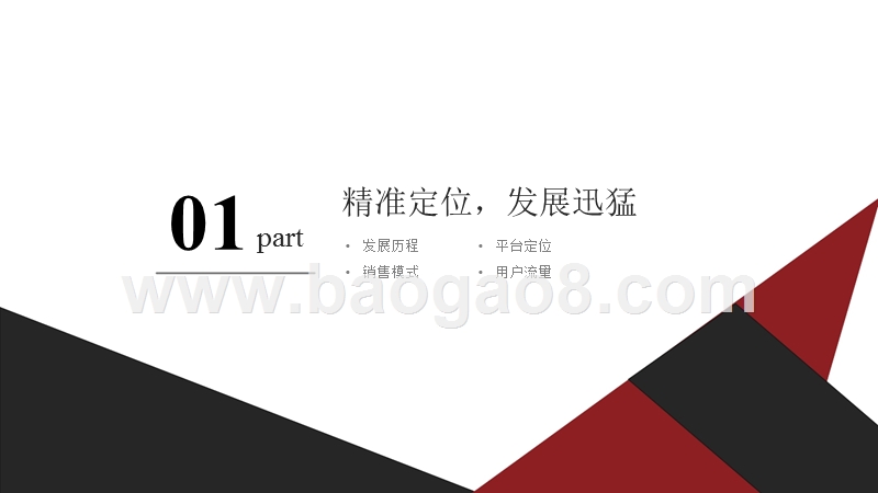 2018-2019年拼多多平台分析报告.pptx_第3页