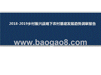 2018-2019乡村振兴战略下农村基建发展趋势洞察报告.pptx