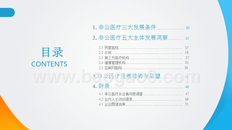 2018-2019中国非公医疗行业研究报告.pptx_第2页