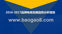 2016-2017品牌电商发展趋势分析报告.pptx