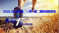 2018-2019中国“一带一路”国际观察报告.pptx