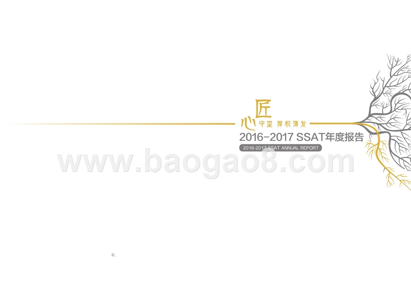 2016-2017年SSAT年度报告.pptx_第1页