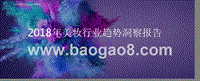 2018年美妆行业趋势洞察报告.pptx
