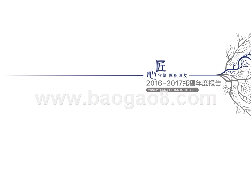 2016-2017年托福年度报告.pptx_第1页
